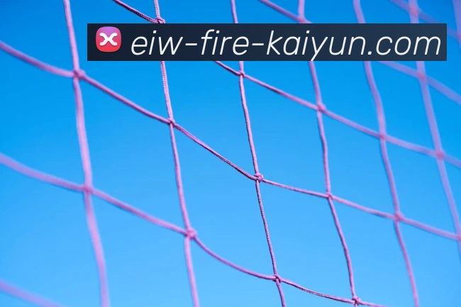 登录器 登录器